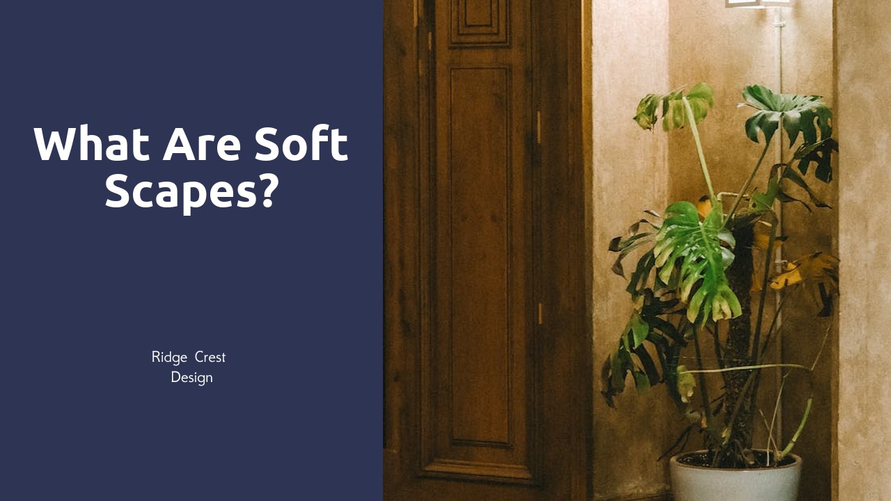 What are soft scapes?